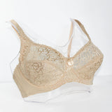 Bosom Lace Perspective Bra