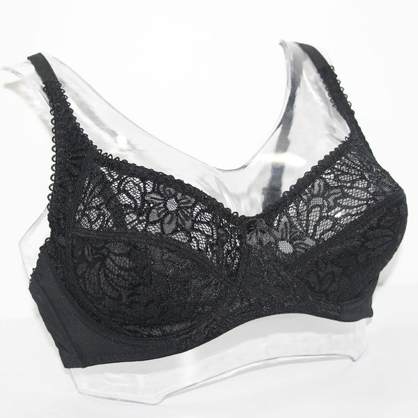 Bosom Lace Perspective Bra