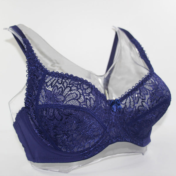 Bosom Lace Perspective Bra