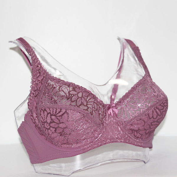 Bosom Lace Perspective Bra