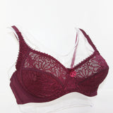 Bosom Lace Perspective Bra