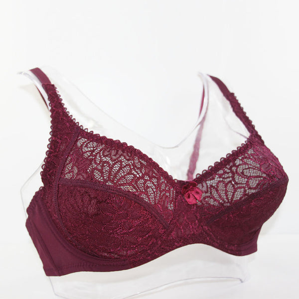Bosom Lace Perspective Bra