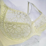Bosom Lace Perspective Bra For Women